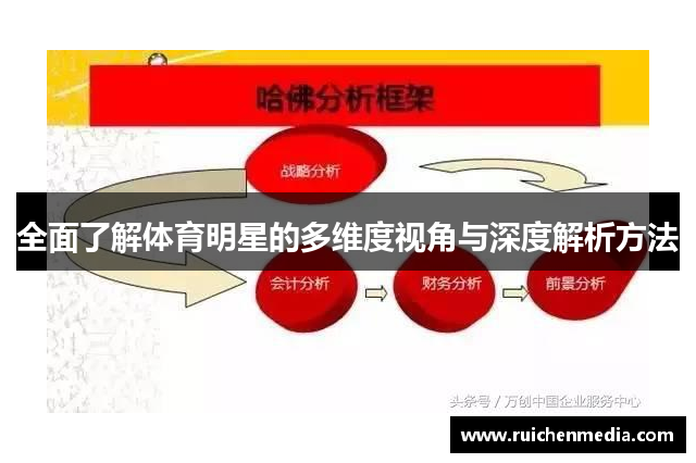 全面了解体育明星的多维度视角与深度解析方法